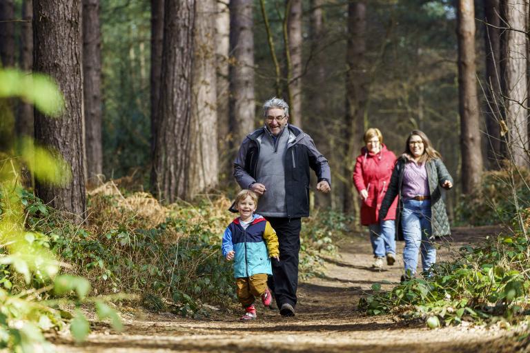 Sherwood Pines