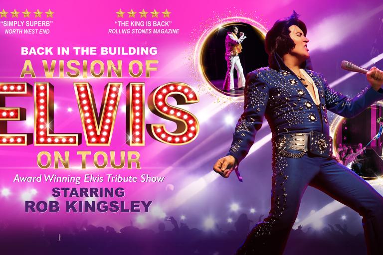 A Vision Of Elvis