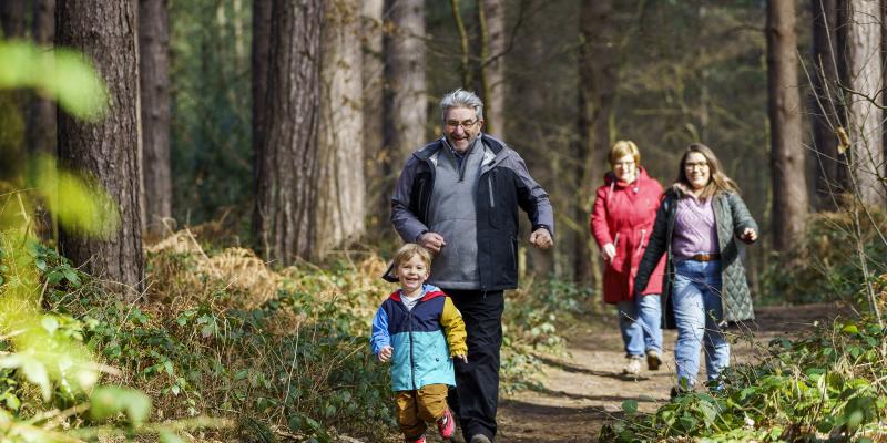 Sherwood Pines