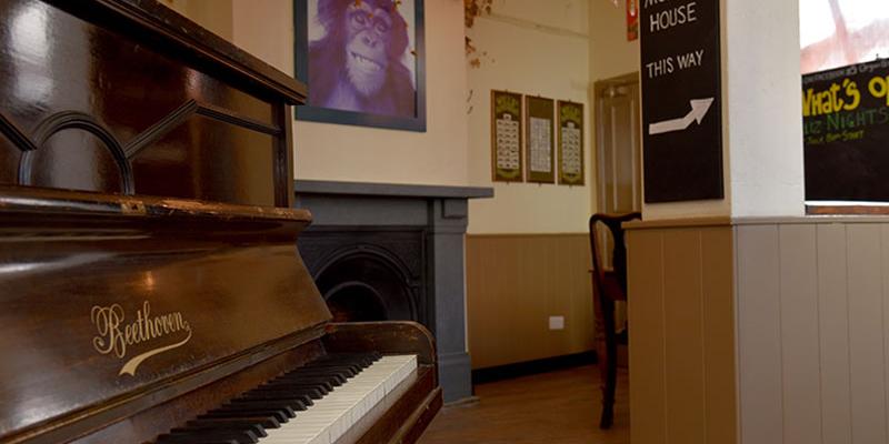 The Organ Grinder