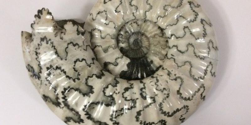 Stone Treasures