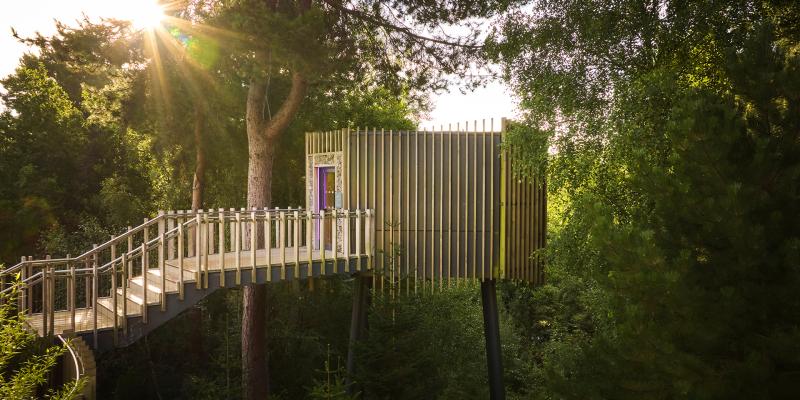 Room suspended within forest