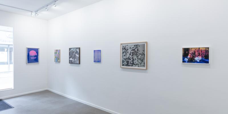 Vibrant Matter art gallery