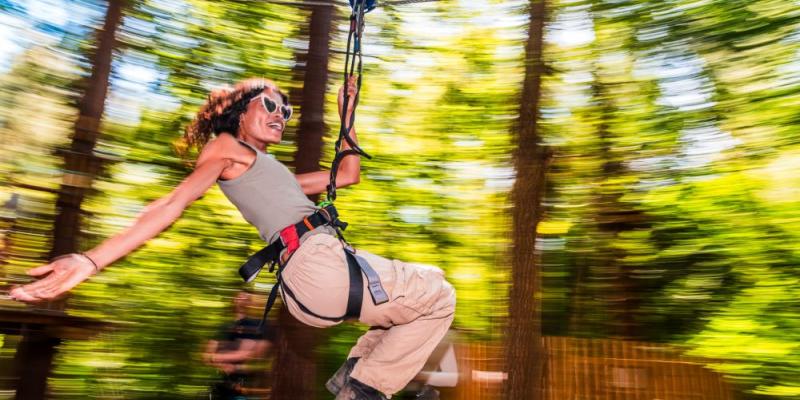 Go Ape Sherwood
