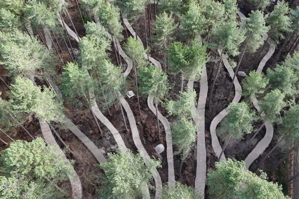 Sherwood Pines