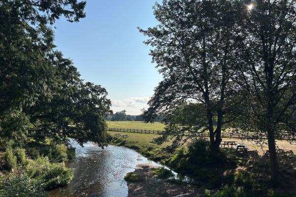 Thoresby Park