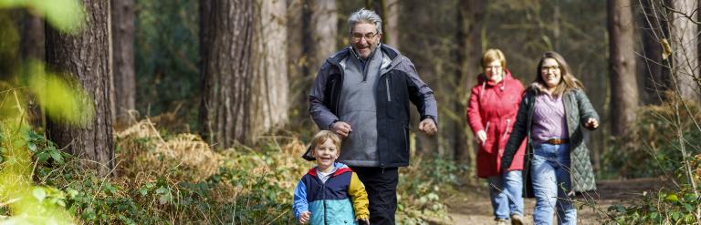 Sherwood Pines